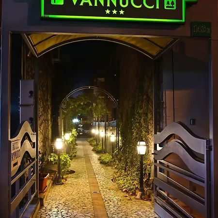 Vannucci רימיני