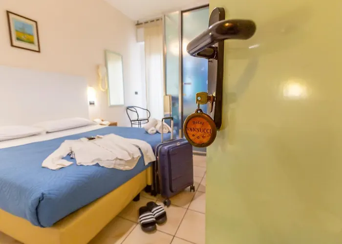 凡努奇酒店 3* 里米尼